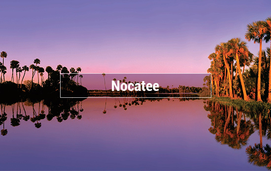 Nocatee Beach Relo Guide